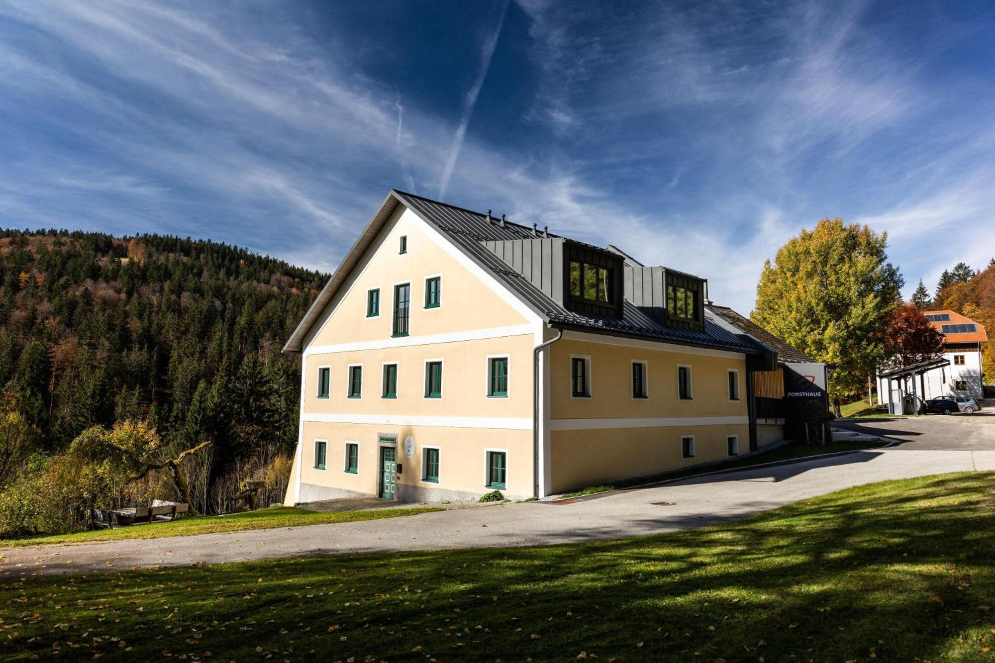 Forsthaus Apartments - Ski + Bike & Hike Клафер ам Хохфихт Екстериор снимка
