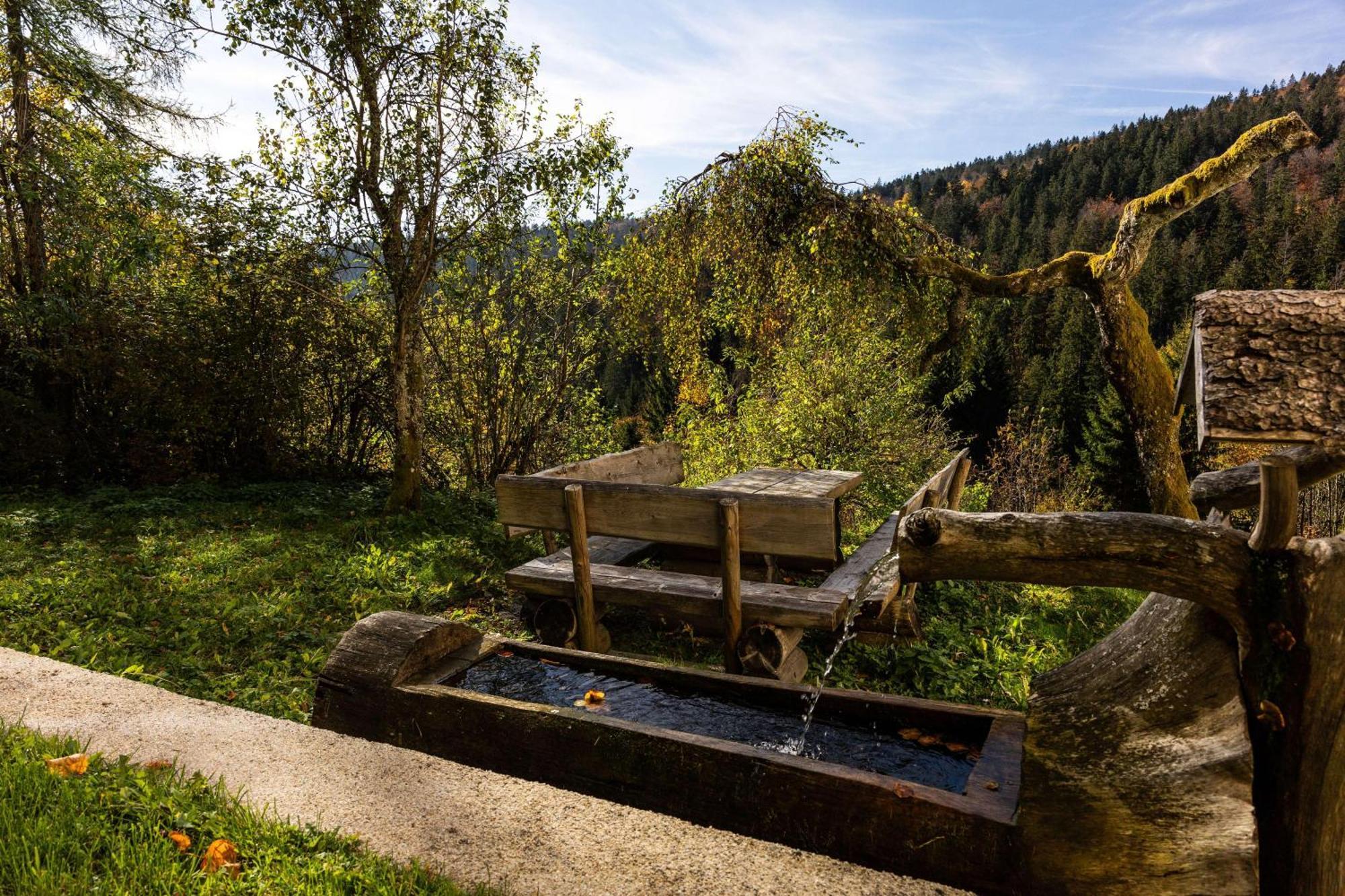 Forsthaus Apartments - Ski + Bike & Hike Клафер ам Хохфихт Екстериор снимка