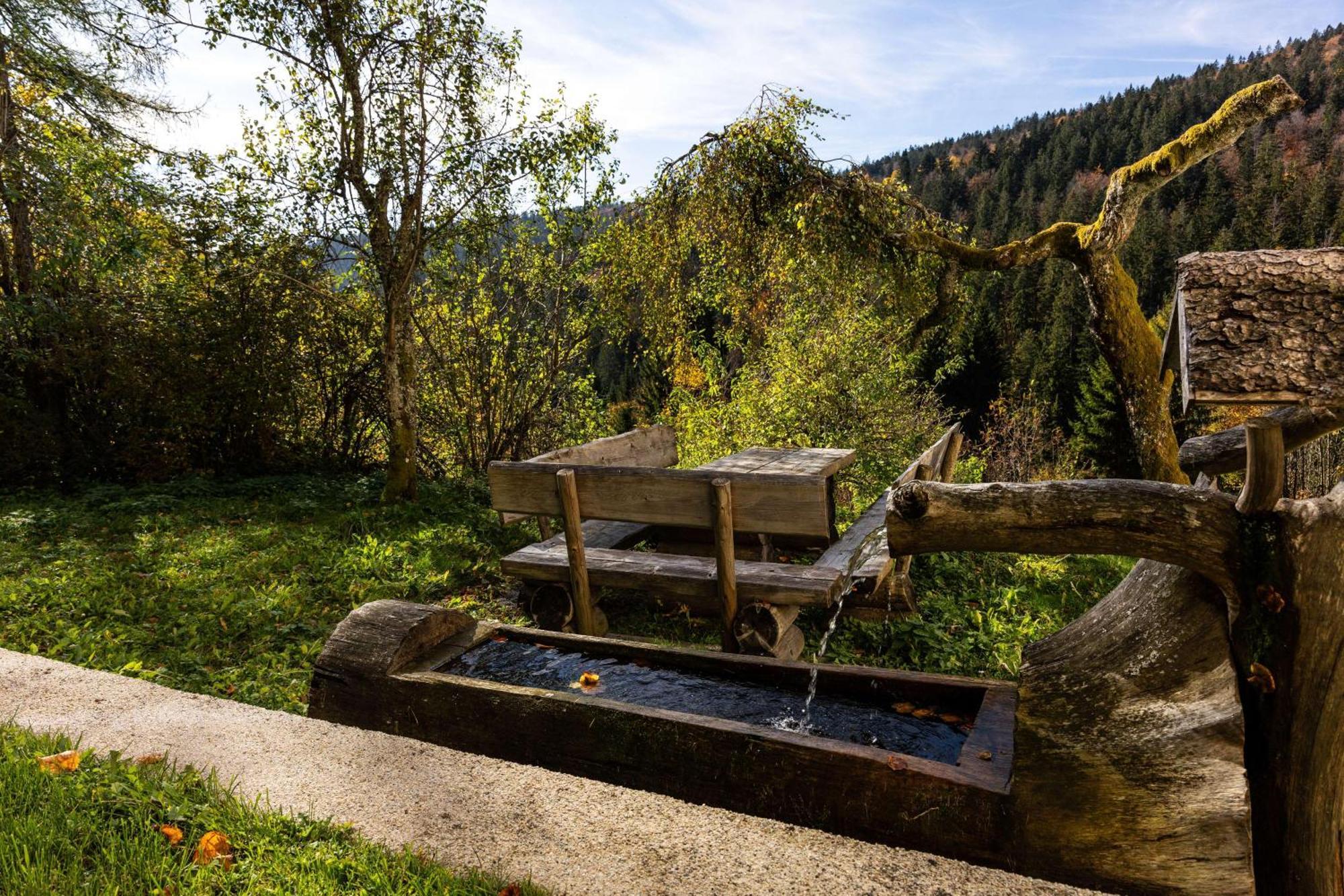 Forsthaus Apartments - Ski + Bike & Hike Клафер ам Хохфихт Екстериор снимка