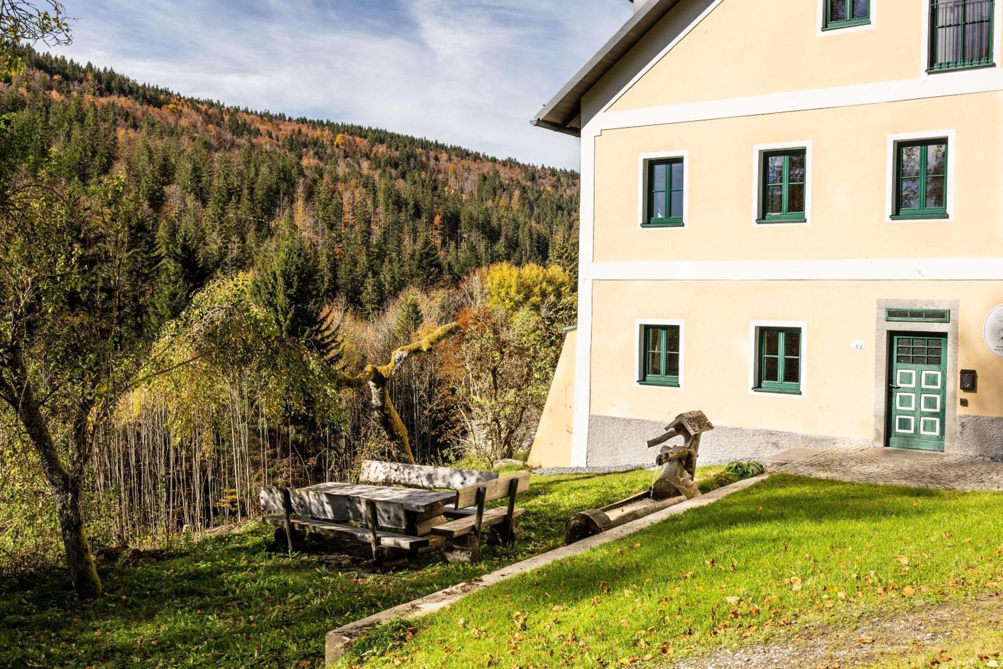 Forsthaus Apartments - Ski + Bike & Hike Клафер ам Хохфихт Екстериор снимка